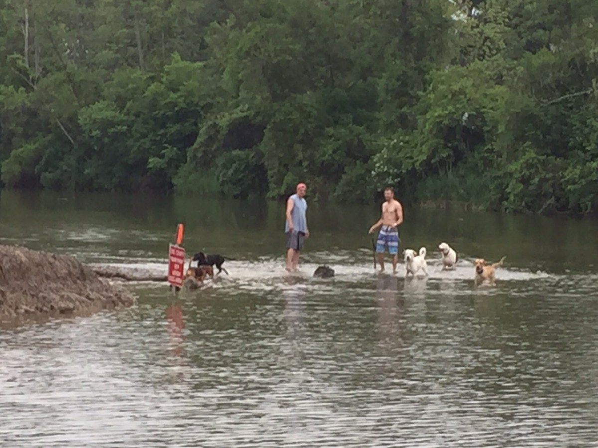 a group of people riding on the back of a boat in the water