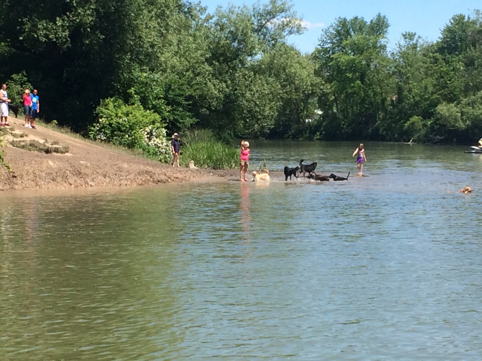 a group of people standing next to a body of water