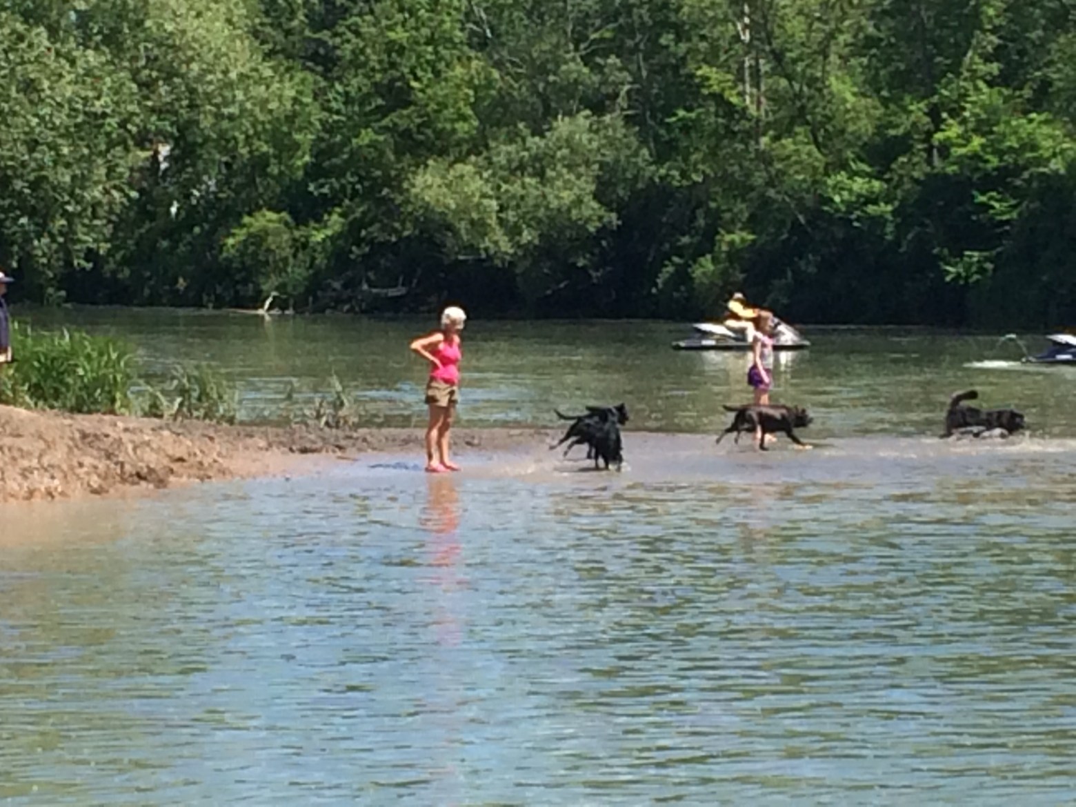 a group of people swimming in a body of water